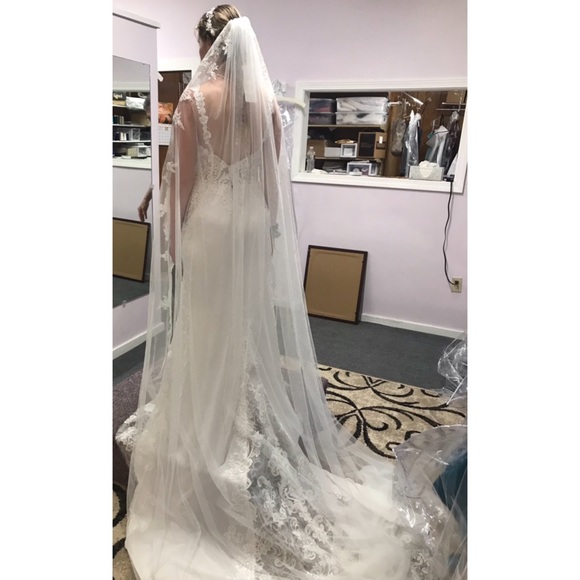 Christina Wu Veil